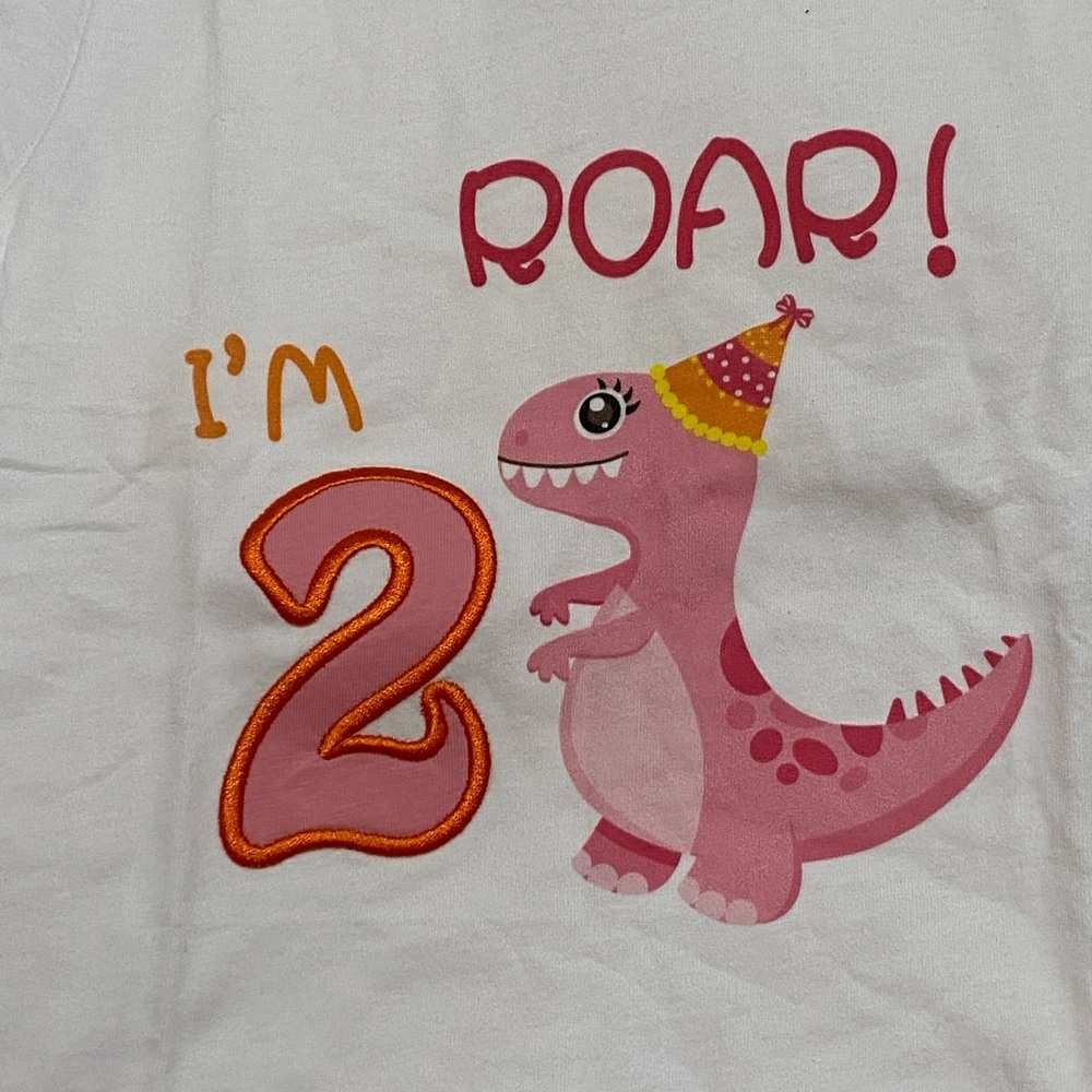 Girls 2nd birthday dinosaur T shirt  3T shirt sleeve pink white new